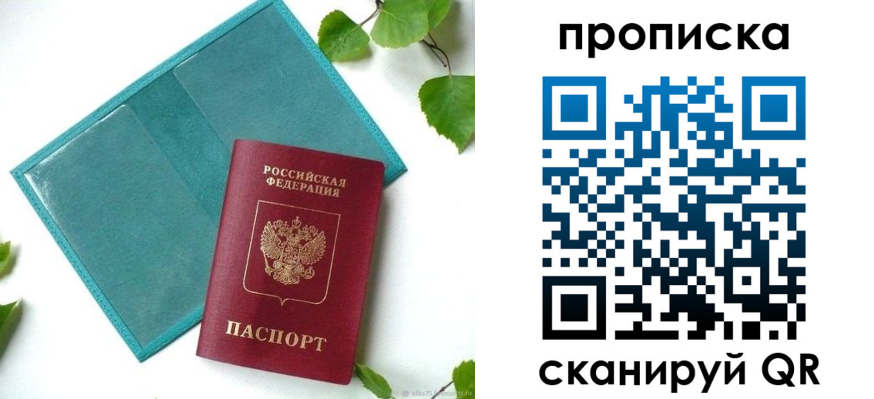 прописка штамп в Михайловке